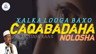 CAQABADAHA NOLOSHA XALKA LOOGA BAXO ᴴᴰ┇SH MUSTAFE X ISMAACIIL [upl. by Ymerej]