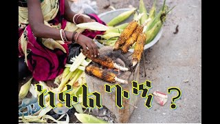 tereka አፋልጉኝ Afalgugne [upl. by Freiman]