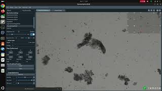 Tardigrades in action under a multicamera array microscope [upl. by Anneuq]