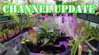 Masdevallia orchids and More Channel Update 2024 [upl. by Morey]