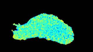 Alignment of Integrins During T Cell Migration [upl. by Notnroht597]