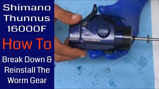 Shimano Thunnus  How To Break Down And Reinstall The Worm Gear Fishing Reel Repair [upl. by Ecinert]