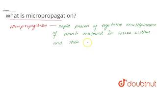 what is micropropagation [upl. by Christian]