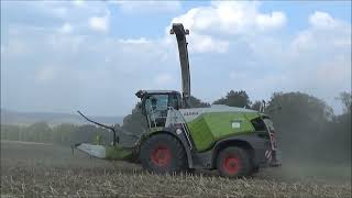 Siláže 2024 Claas Jaguar 960 Tatra Phoenix John Deere 8335R 8R3408530 a Fendt Favorit [upl. by Luhe887]