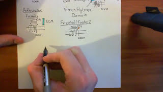 Cholera Toxin and Pertussis Toxin Part 2 [upl. by Narcis]