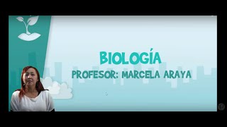 Biología  Clase Nº9  Meiosis y gametogénesis [upl. by Idolem]