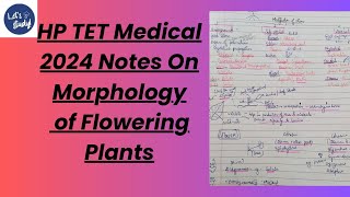 HP TET Medical  Morphology of Flowering Plant Notes 2024  Ncert Class 1 notes [upl. by Ecirtnahs]