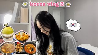 kor韓国留学vlog2弘大ショッピング語学堂 [upl. by Winther918]