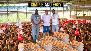 How To Start a Successful Poultry Farm as a BEGINNER in Ghana poultry poultryfarm poultryfarming [upl. by Adyela]