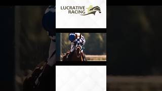 Secretariat  Last Race Part 1 lucrative racing horseracing movie shorts [upl. by Drescher37]