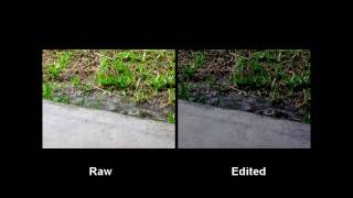 Canon Powershot SX120 IS Video Test [upl. by Rothstein]