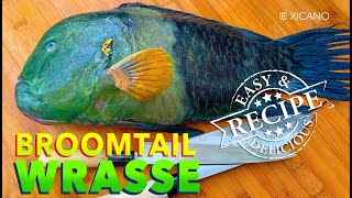 Broomtail Wrasse  Clean Fillet amp Cook [upl. by Schurman303]