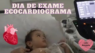 ECOCARDIOGRAMA  EXAME DE ROTINA [upl. by Janot]