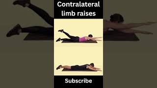 Contralateral limb raises  Do it right to build Upper Body [upl. by Christenson]