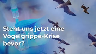 Droht jetzt eine VogelgrippeKrise [upl. by Nekal]