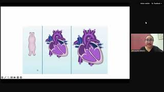 Reconocimiento de las patologias cardiacas congenitas en el recien nacido [upl. by Natika973]