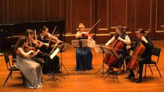 Arnold Schoenberg  Transfigured Night for String Sextet Op 4 [upl. by Meter]