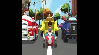 PAW Patrol Best Scenes 42 ► Real Vs Fake Chase PAW Patrol shorts funny animation [upl. by Putnam]