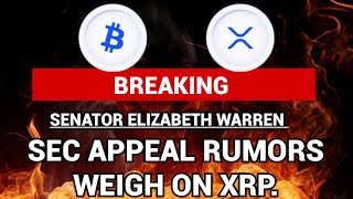 XRP NEWS SEC APPEALS SPECULATION CEO OF RIPPLE RESPONDS TO XRPs SIGNIFICANT MILESTONES [upl. by Inneg]