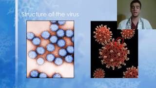 Rotavirus Presentation [upl. by Aruabea731]