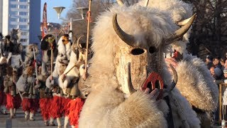 Kukeri festival Surva 2019 in Pernik [upl. by Nitaj707]