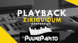 Playback ziriguidumchapahalls [upl. by Esbenshade]