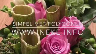 Simpel met polygonum Easy with polygonum [upl. by Anola756]