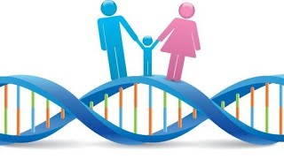 Biologiya Endi Genetika oson 1dars Mendelning birinchi va ikkinchi qonuni [upl. by Camille]