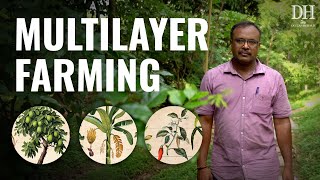 How multilayer farming made this farm profitable [upl. by Rahm]