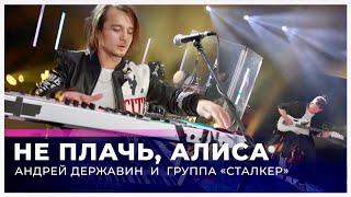 Андрей Державин  Алиса Live quotБольшая рыбаquot [upl. by Collayer177]