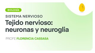 Tejido nervioso Neuronas y neuroglia  Biología  Sistema Nervioso  V3  Egg Educación [upl. by Salohcim]