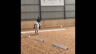 Novice 34 2009 68 dressage test West Moor Farm Equestrian [upl. by Ylsel]