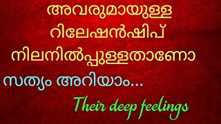 1111അവരുമായുള്ള ബന്ധം നിലനിൽപ്പുള്ളതാണ് ✨ സത്യം ഇതാണ് malayalamtarot tarot [upl. by Notaek]