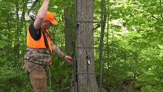 Tree Stand Safety Installing a Ladder Tree Stand [upl. by Ahseid]