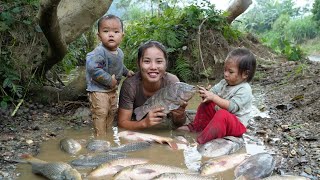 Together with my children we harvested giant stream fish and brought them to the market to sell [upl. by Nilya534]