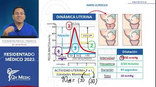 Obstetricia Parto eutócio  RM 2023 [upl. by Ahseim]