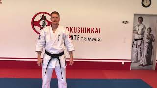 10Kyu Taikyoku sono Ichi Bunkai [upl. by Dianna]