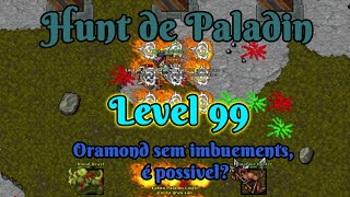 Hunt de Paladin Level 99  Oramond sem imbuements é possível  Tibia [upl. by Aimar]