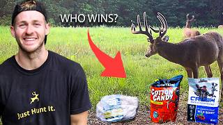 I Tested the Best Deer Attractants [upl. by Dimmick]