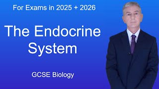 GCSE Biology Revision quotThe Endocrine Systemquot [upl. by Guillermo]