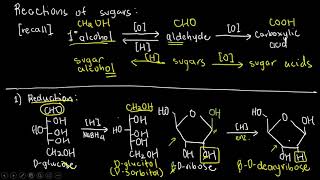 BIOCHEM 6  Reactions of Carbohydrates [upl. by Nerval]