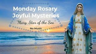 Virtual Rosary Monday  Joyful Mysteries  Monday Rosary  Follow Along Rosary  Rosary Meditation [upl. by Haze]