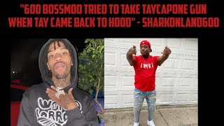 quot600 BossMoo Tried To Take TayCapone Gun When Tay Came Back To Hoodquot  SharkonLand600 [upl. by Merriam]