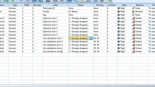 Reliability test Compute Cronbachs alpha using SPSS2023 [upl. by Robbert]