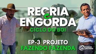 Recria e Engorda de Macho  Projeto Fazendo Fazenda Ep3 [upl. by Chilcote944]