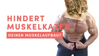 Muskelkater zum Muskeln Aufbauen Ja oder Nein EINFACHE REGEL [upl. by Sander]