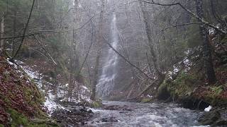 tallest tributary falls on Thomas Dickson Brook [upl. by Nylauqcaj]