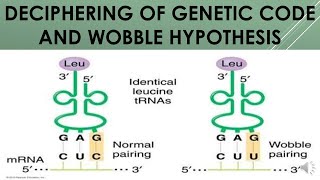 The Genetic Code [upl. by Flanna661]