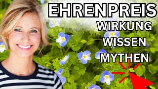 Ehrenpreis Wirkung Wissen amp Mythen 🌞 Wildpflanze Veronica officinalis [upl. by Notsehc999]