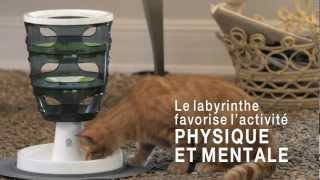 CATIT SENSES Produits stimulants pour votre chat [upl. by Navonoj196]